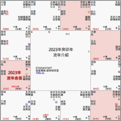 流年貪狼化忌|2023流年「命宮紫微貪狼．遷移空宮」